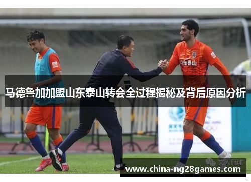 马德鲁加加盟山东泰山转会全过程揭秘及背后原因分析